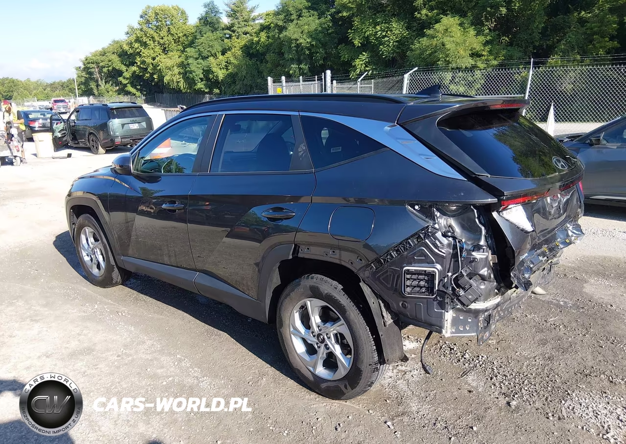 2024 Hyundai Tucson Sel VIN:5NMJBCDE9RH307329 - 3