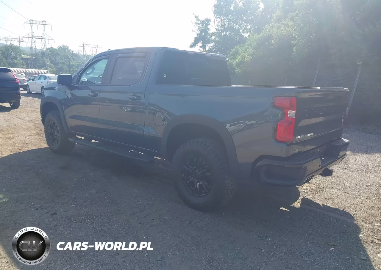 2019 Chevrolet Silverado 1500 Lt Trail Boss VIN:1GCPYFED2KZ129362 - 3