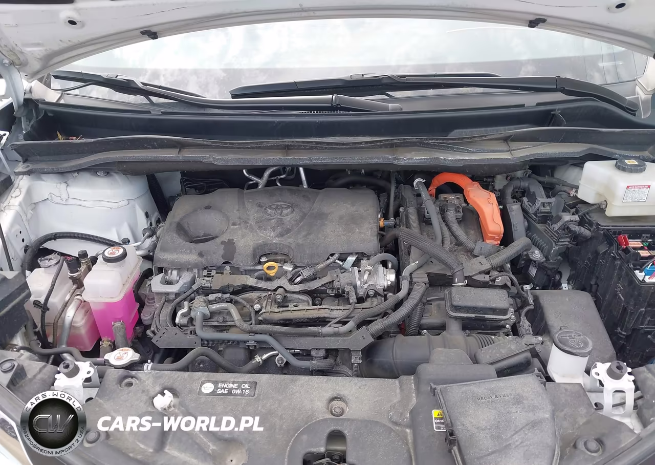 2024 Toyota Sienna Xle VIN:5TDYSKFC3RS143173 - 10