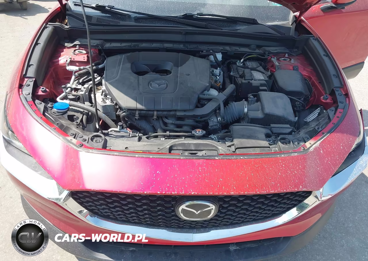 2023 Mazda Cx-30 2.5 S Preferred VIN:3MVDMBCM2PM577151 - 10