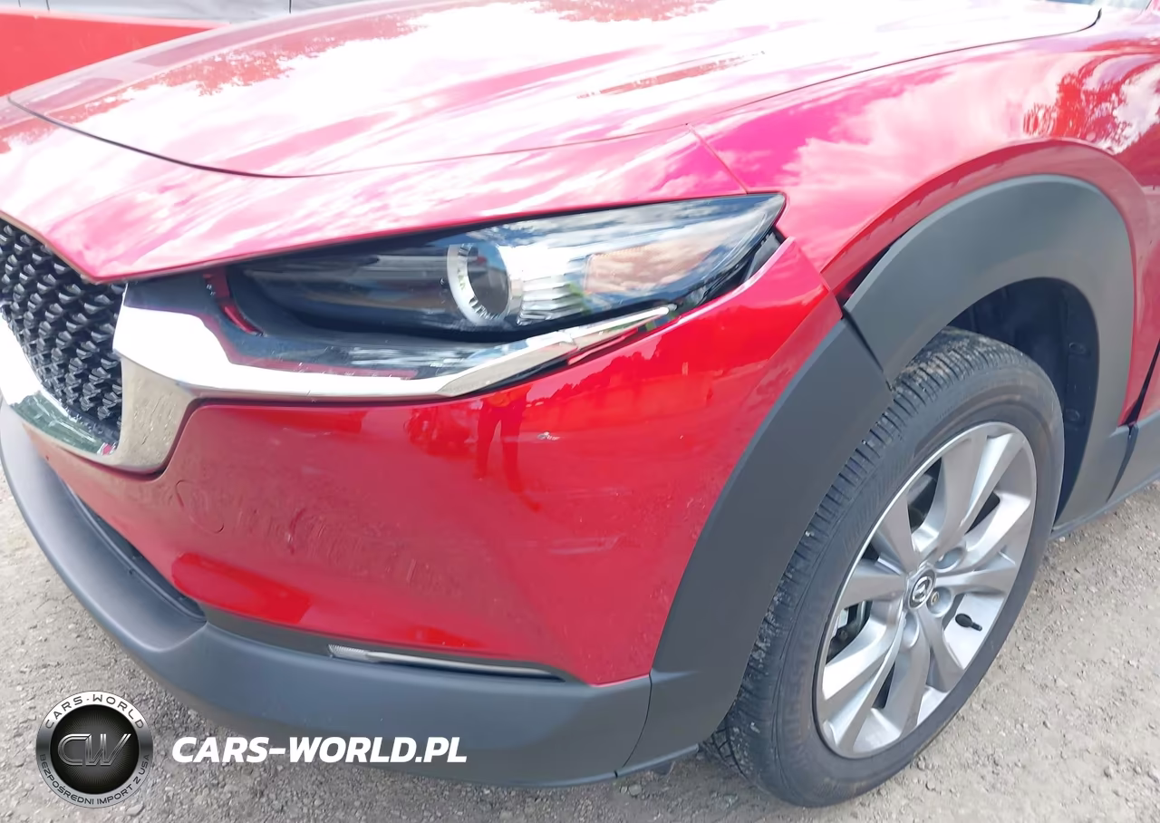 2023 Mazda Cx-30 2.5 S Preferred VIN:3MVDMBCM2PM577151 - 19