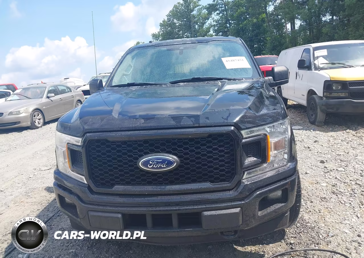 2019 Ford F150 Supercrew VIN:1FTEW1EP0KKC00643 - 12
