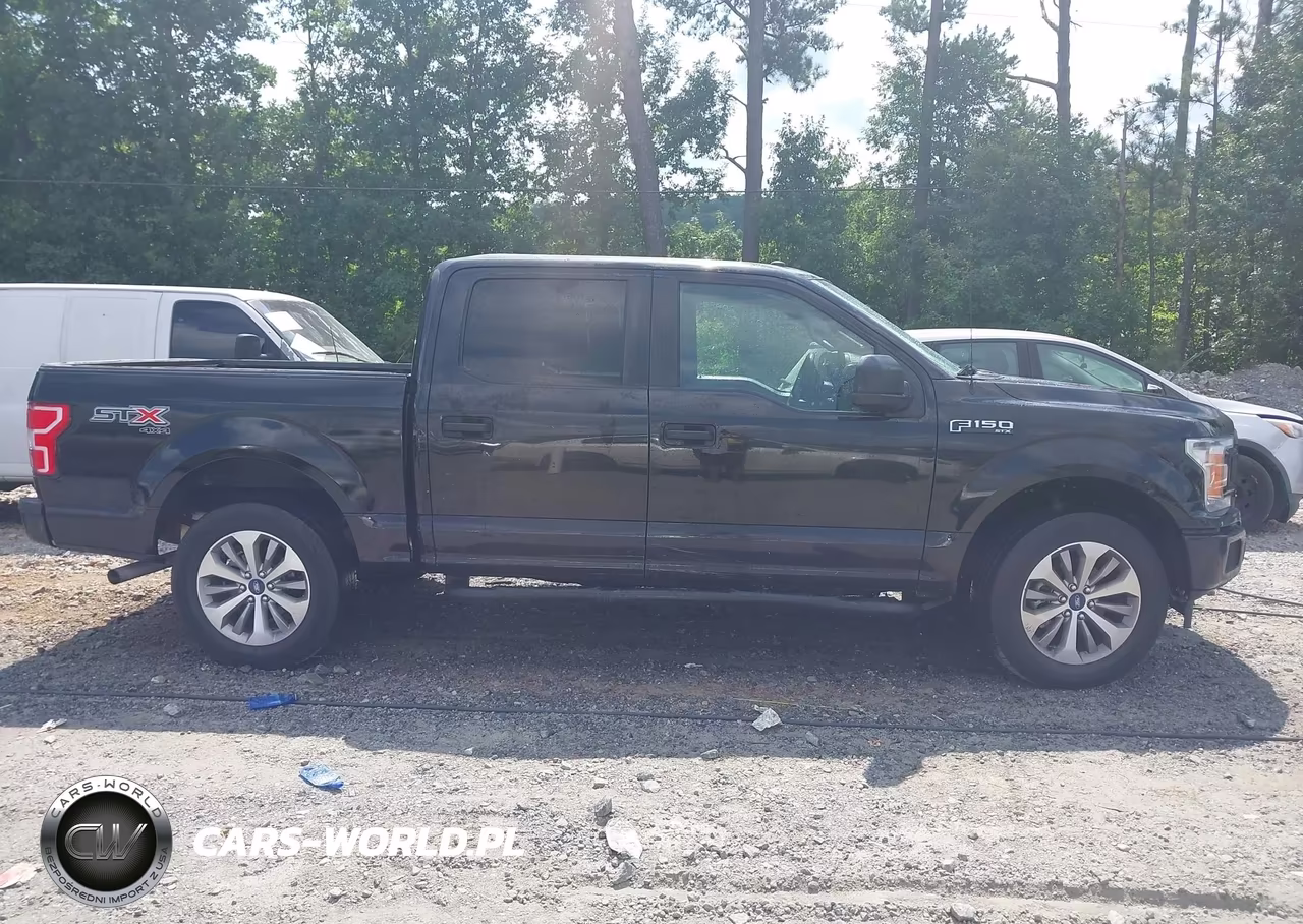 2019 Ford F150 Supercrew VIN:1FTEW1EP0KKC00643 - 13