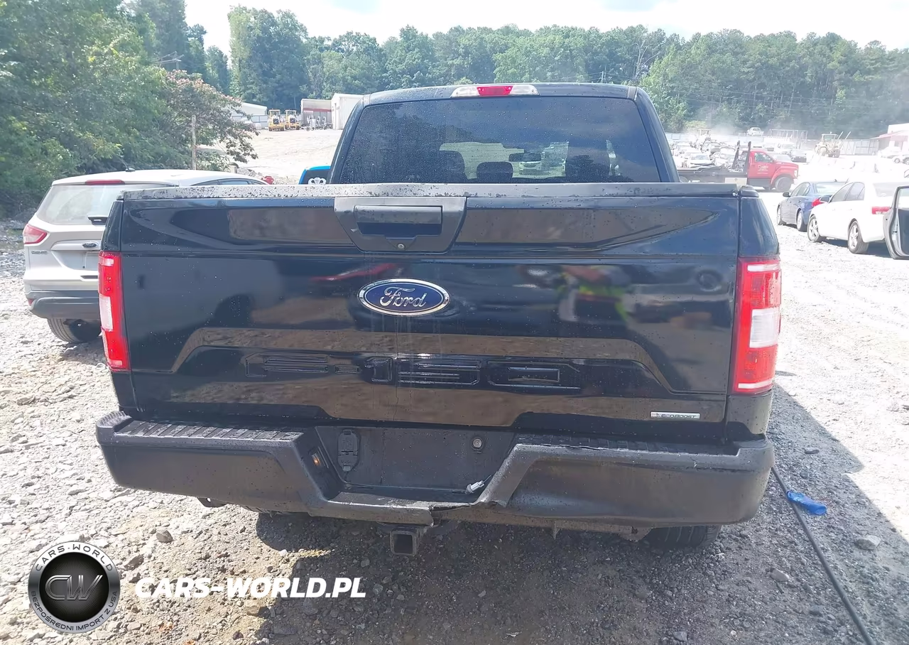 2019 Ford F150 Supercrew VIN:1FTEW1EP0KKC00643 - 16