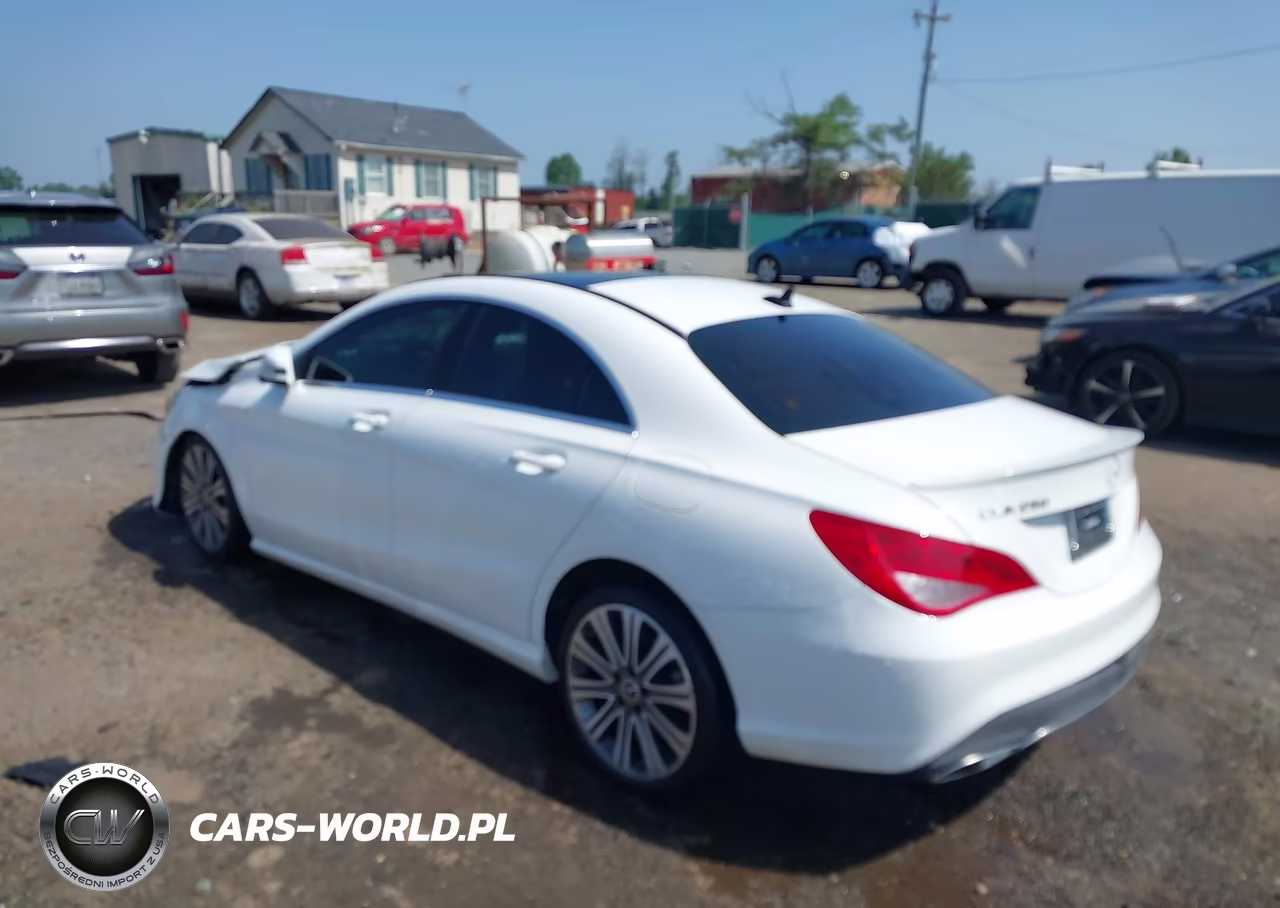 2019 Mercedes-Benz Cla 250 VIN:WDDSJ4EB9KN741122 - 3