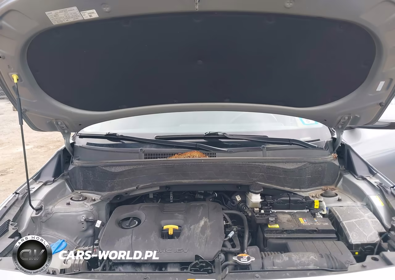 2024 Kia Seltos S VIN:KNDEUCAA9R7634852 - 10