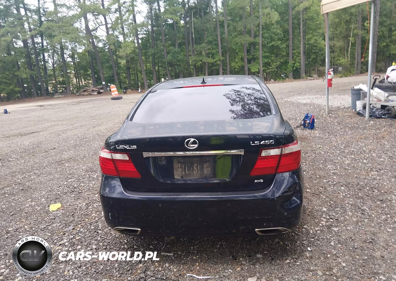 2009 Lexus Ls 460 VIN:JTHCL46F495003893 - 16