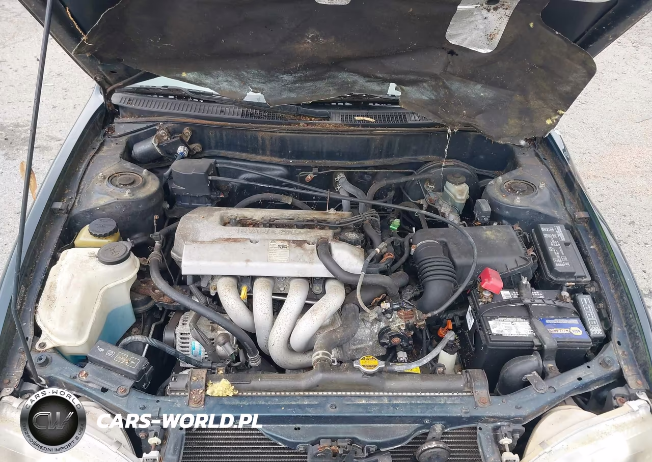 1999 Toyota Corolla Ce VIN:2T1BR12E6XC202063 - 10