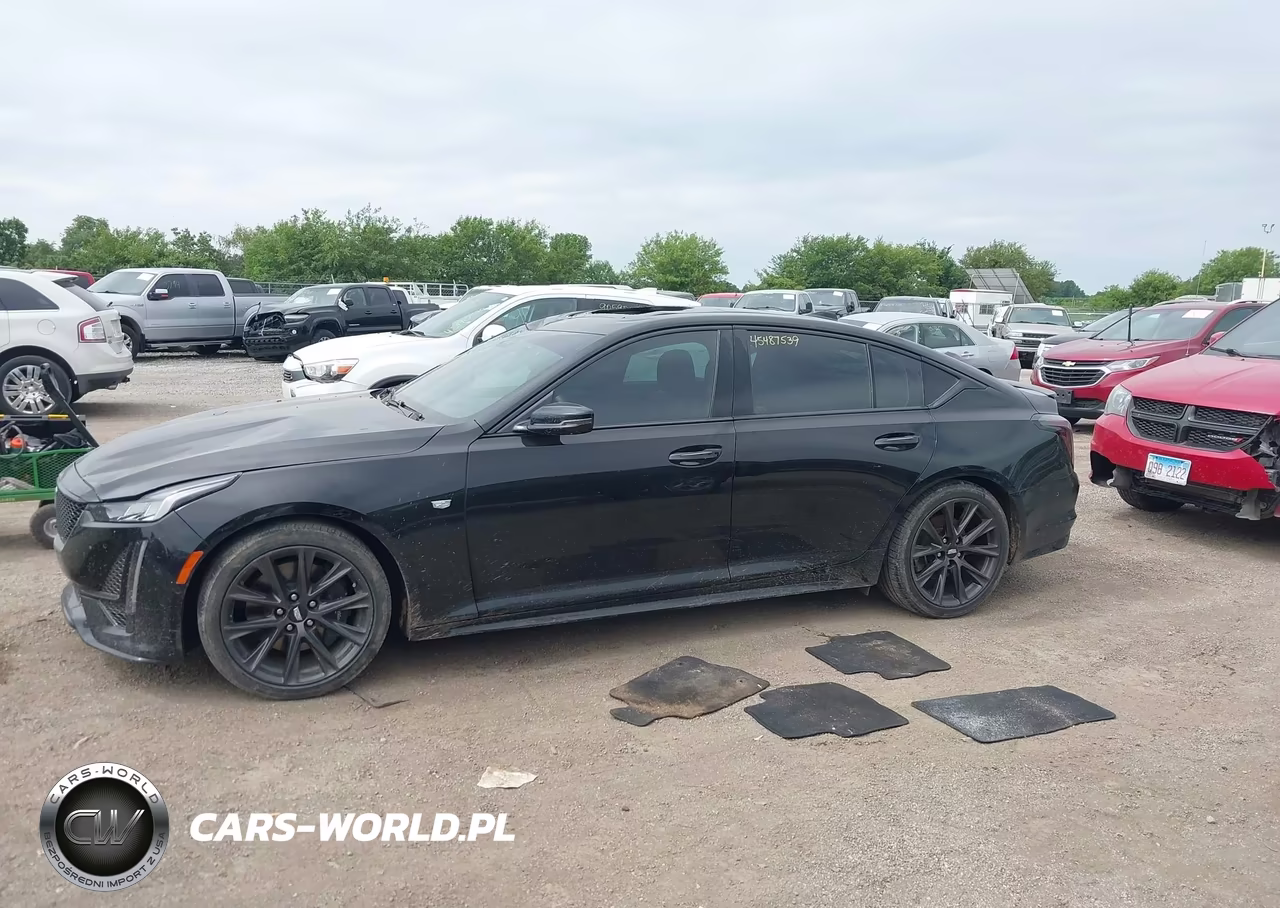 2020 Cadillac Ct5 Sport VIN:1G6DP5RK5L0102206 - 14