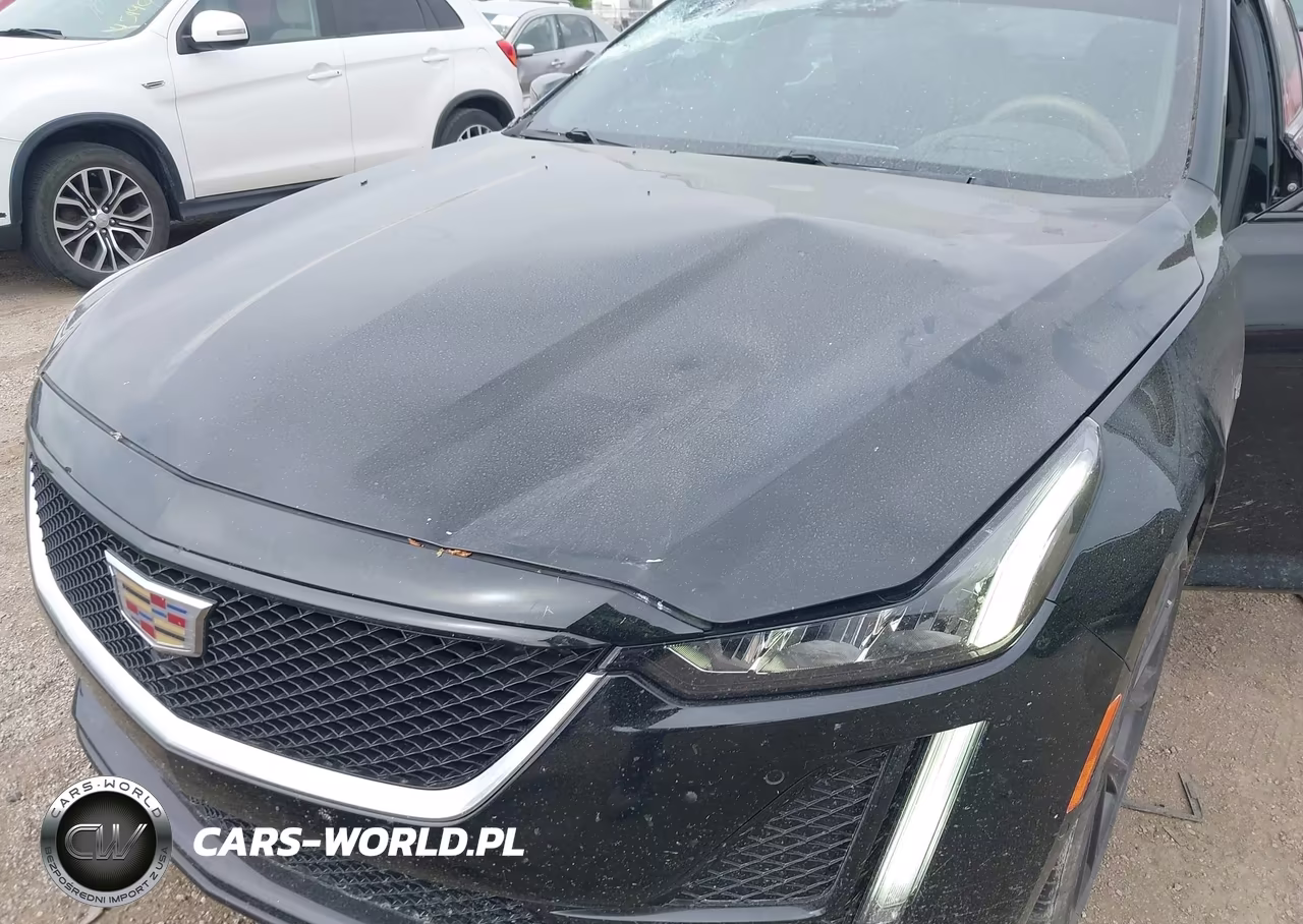 2020 Cadillac Ct5 Sport VIN:1G6DP5RK5L0102206 - 6