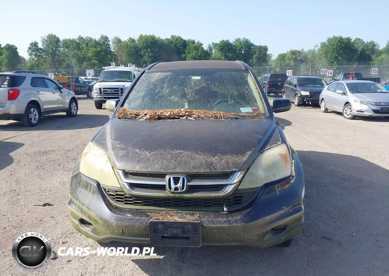 2010 Honda Cr-V Lx VIN:5J6RE4H33AL048522 - 12