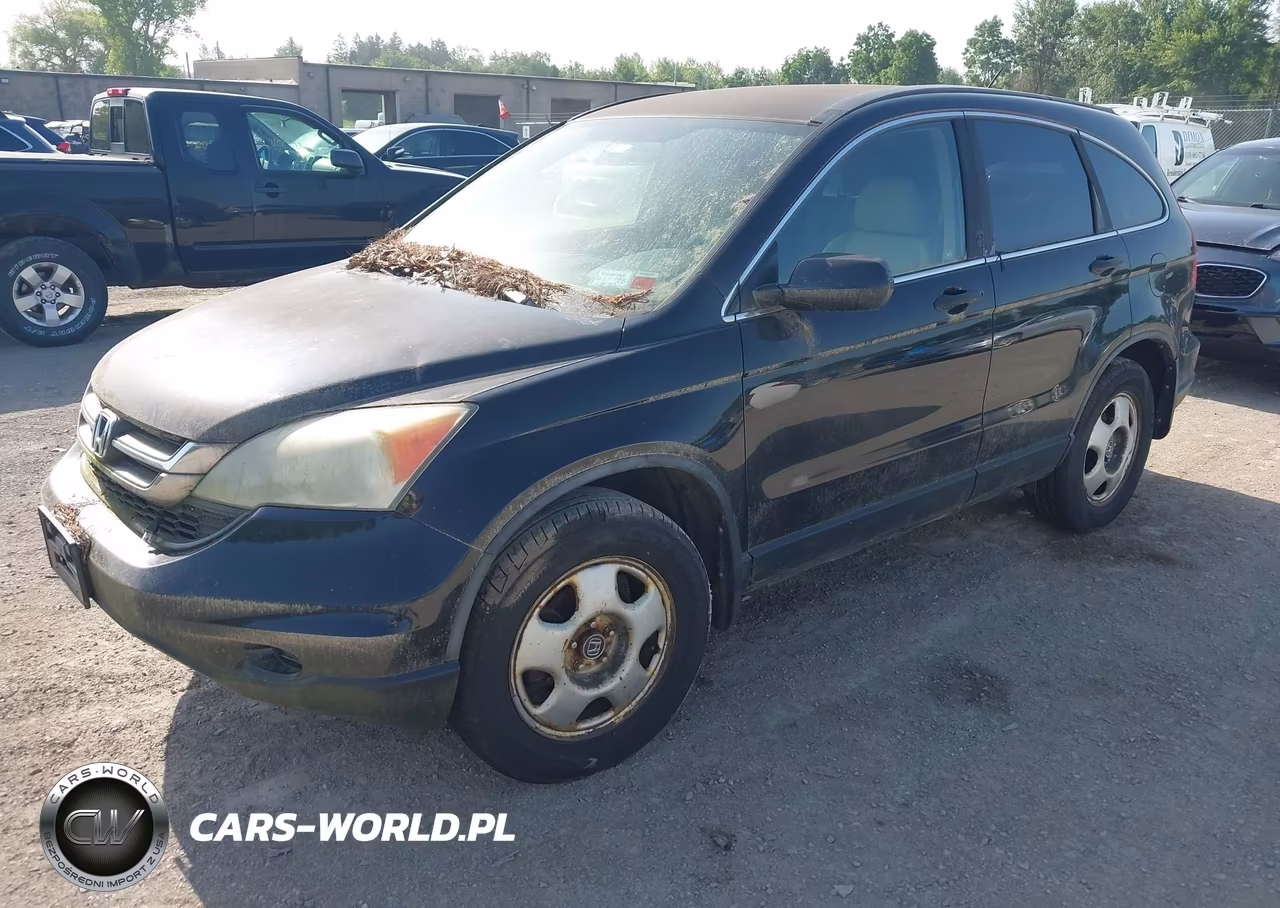 2010 Honda Cr-V Lx VIN:5J6RE4H33AL048522 - 2