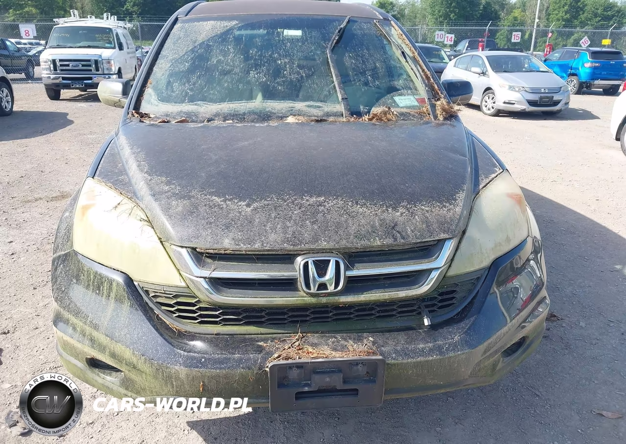 2010 Honda Cr-V Lx VIN:5J6RE4H33AL048522 - 6