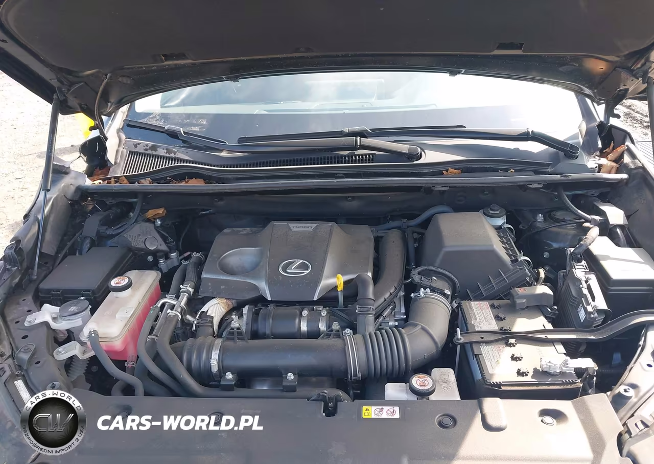 2021 Lexus Nx 300 VIN:JTJGARDZ0M2253707 - 10
