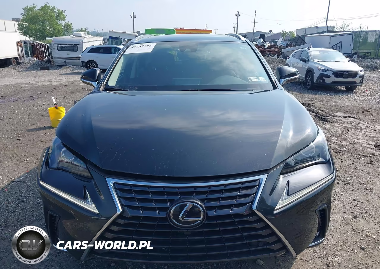 2021 Lexus Nx 300 VIN:JTJGARDZ0M2253707 - 12
