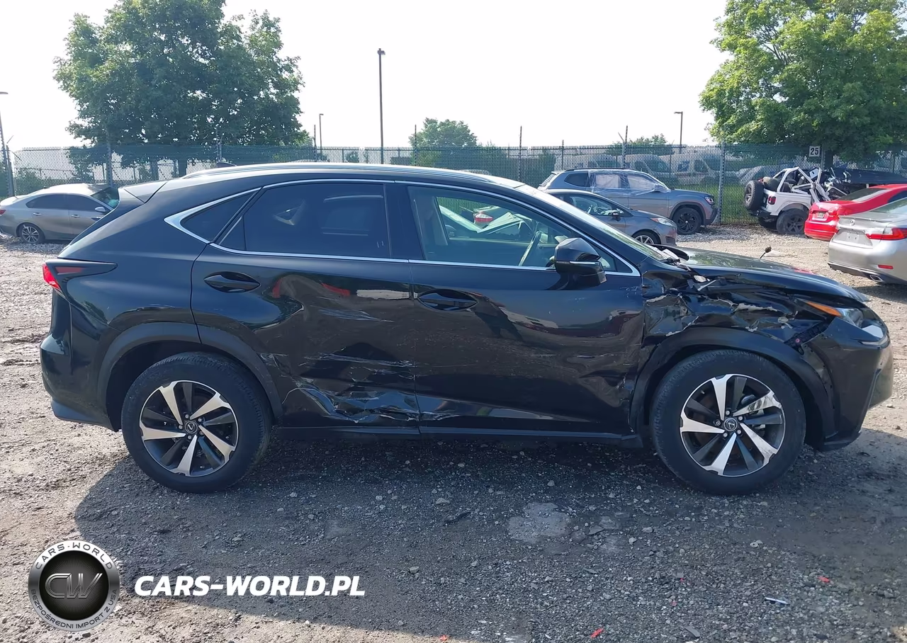 2021 Lexus Nx 300 VIN:JTJGARDZ0M2253707 - 13