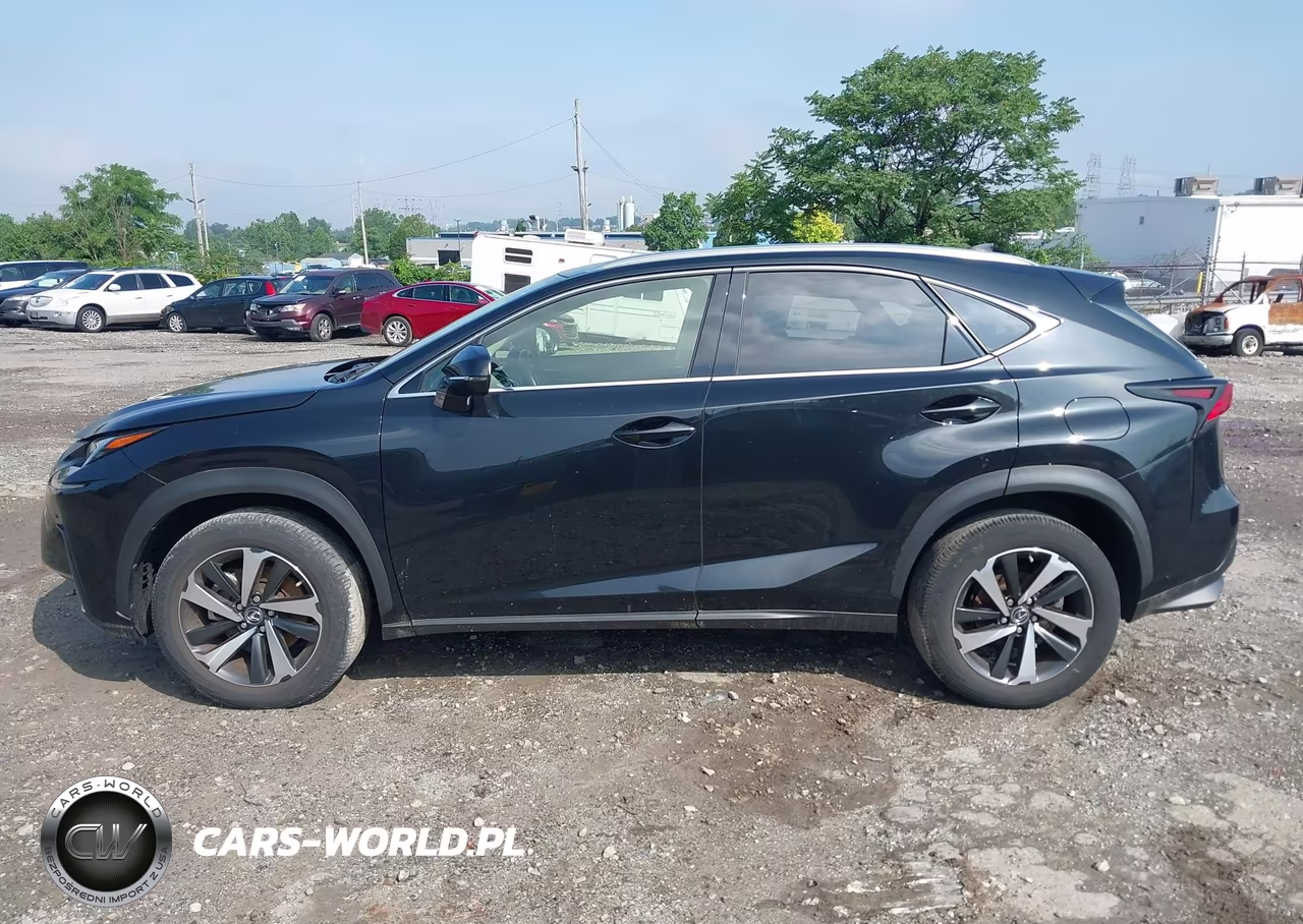 2021 Lexus Nx 300 VIN:JTJGARDZ0M2253707 - 14