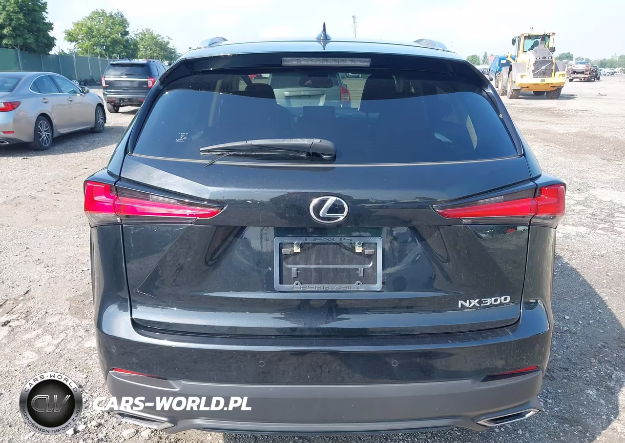 2021 Lexus Nx 300 VIN:JTJGARDZ0M2253707 - 16