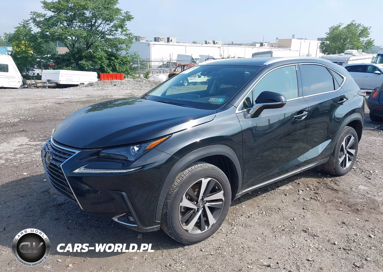 2021 Lexus Nx 300 VIN:JTJGARDZ0M2253707 - 2