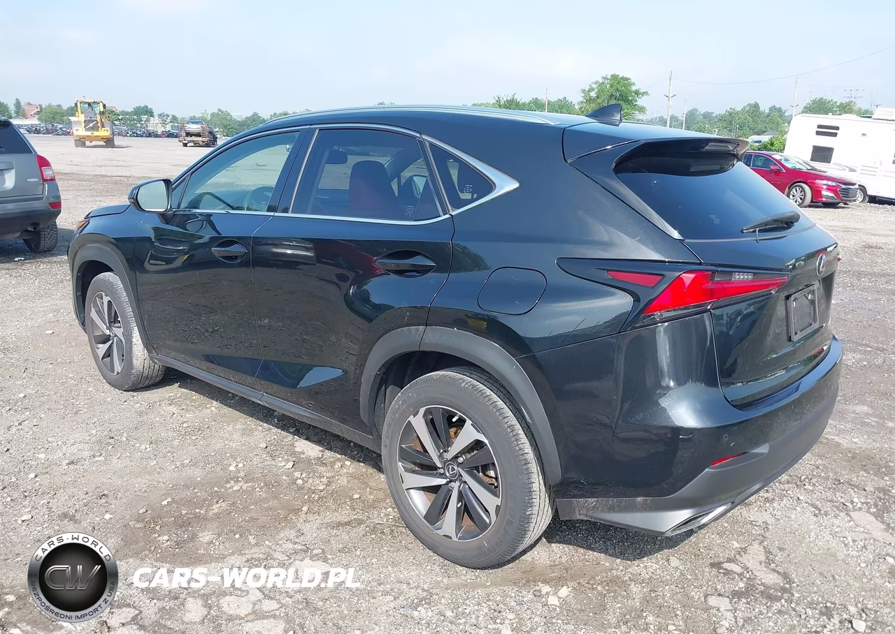 2021 Lexus Nx 300 VIN:JTJGARDZ0M2253707 - 3