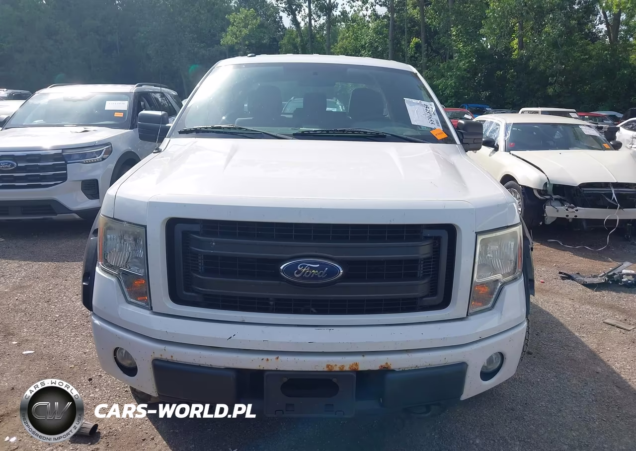 2013 Ford F-150 Fx4-Lariat-Stx-Xl-Xlt VIN:1FTFX1EF0DKF64346 - 12