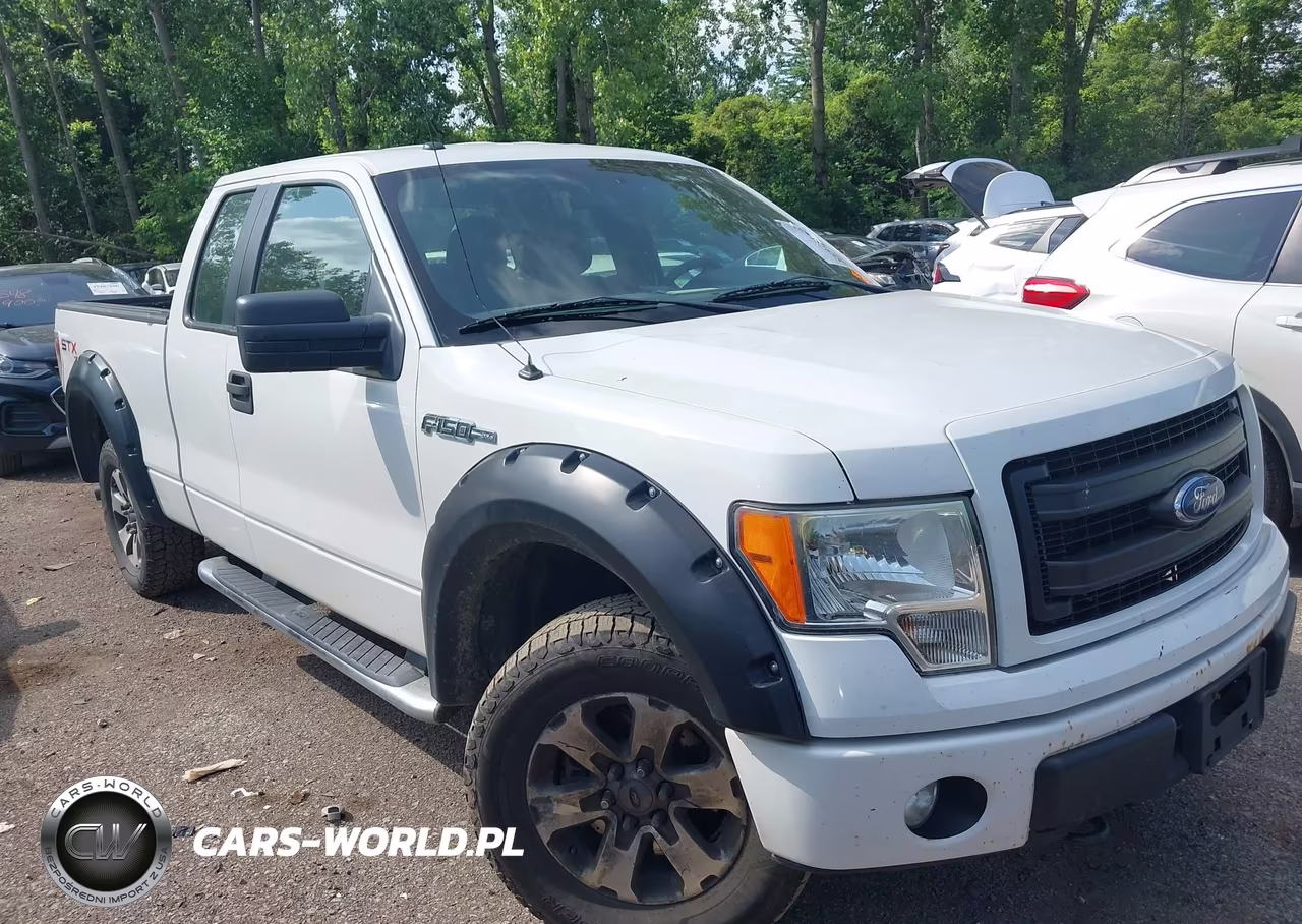 2013 Ford F-150 Fx4-Lariat-Stx-Xl-Xlt VIN:1FTFX1EF0DKF64346 - 13