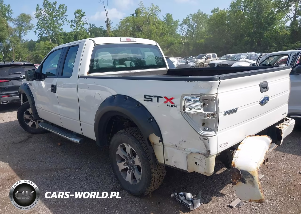 2013 Ford F-150 Fx4-Lariat-Stx-Xl-Xlt VIN:1FTFX1EF0DKF64346 - 14