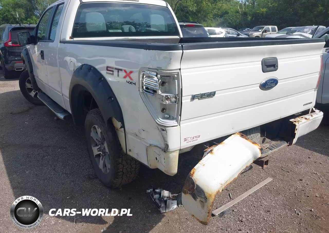 2013 Ford F-150 Fx4-Lariat-Stx-Xl-Xlt VIN:1FTFX1EF0DKF64346 - 6
