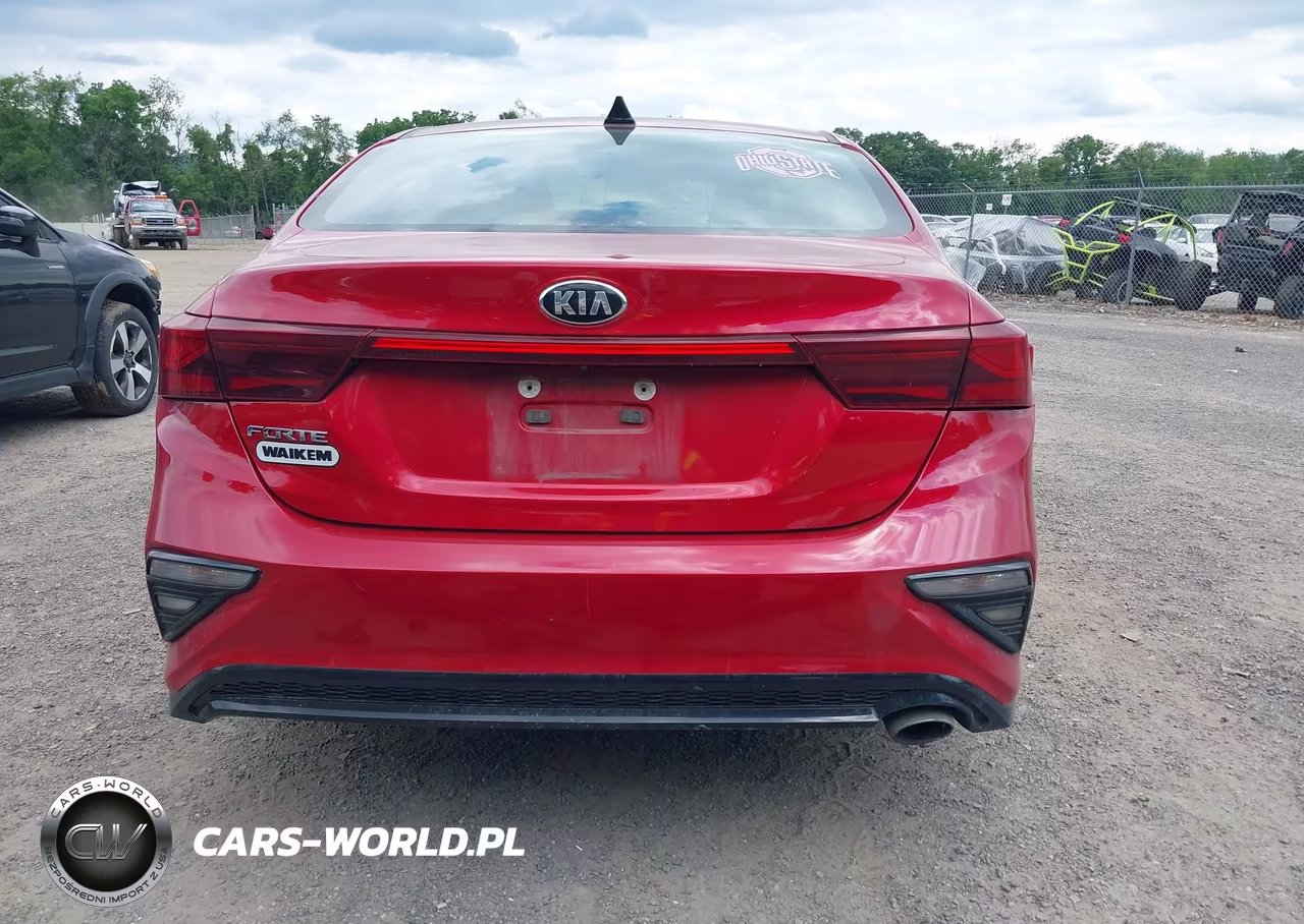 2019 Kia Forte Lxs VIN:3KPF24AD5KE134462 - 17