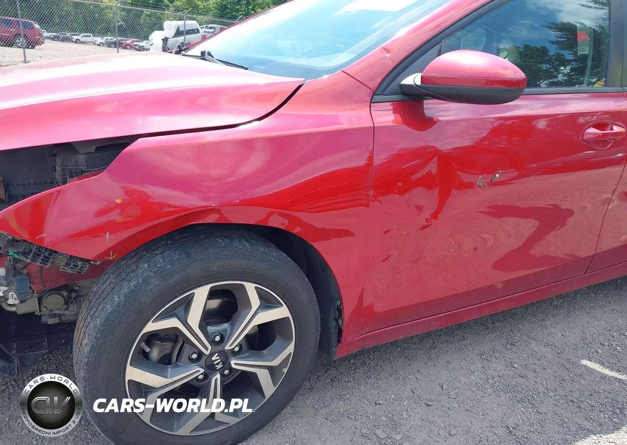 2019 Kia Forte Lxs VIN:3KPF24AD5KE134462 - 18