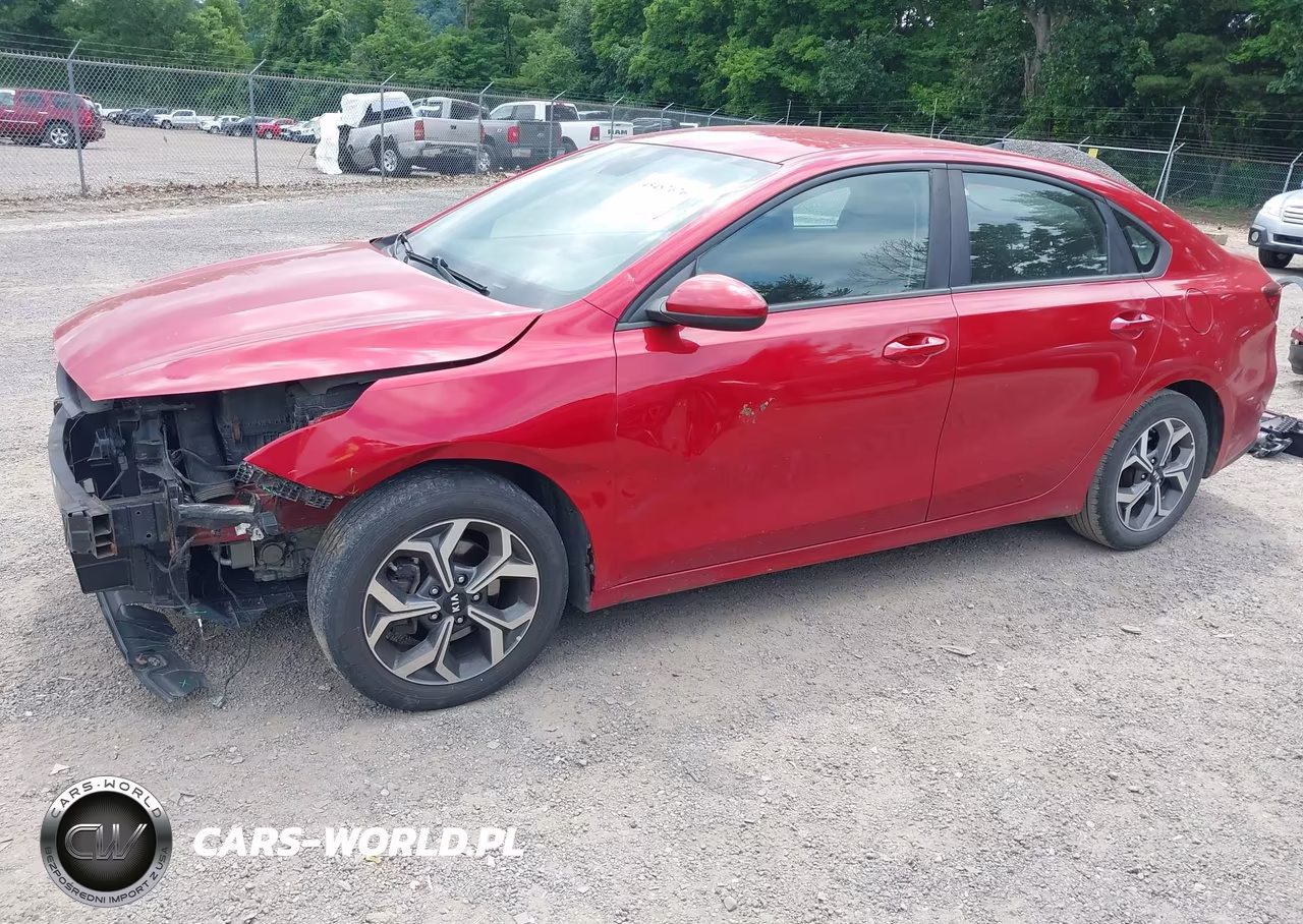 2019 Kia Forte Lxs VIN:3KPF24AD5KE134462 - 2