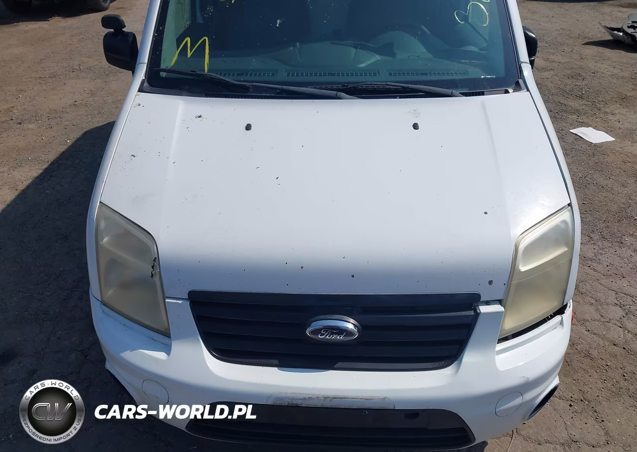 2011 Ford Transit Connect Xlt VIN:NM0LS7BN8BT051091 - 10