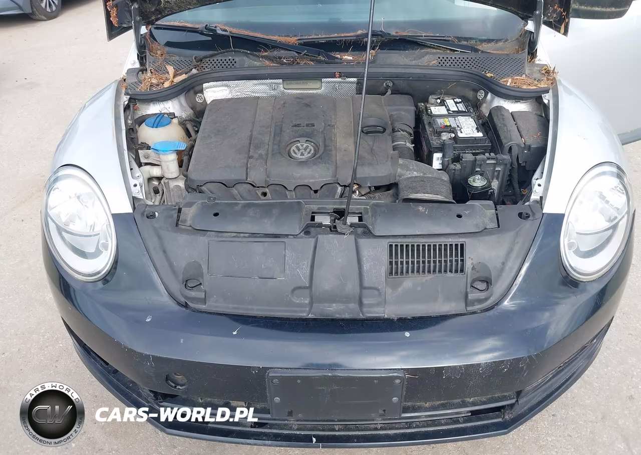2014 Volkswagen Beetle 2.5L Entry VIN:3VWFP7AT1EM606206 - 10