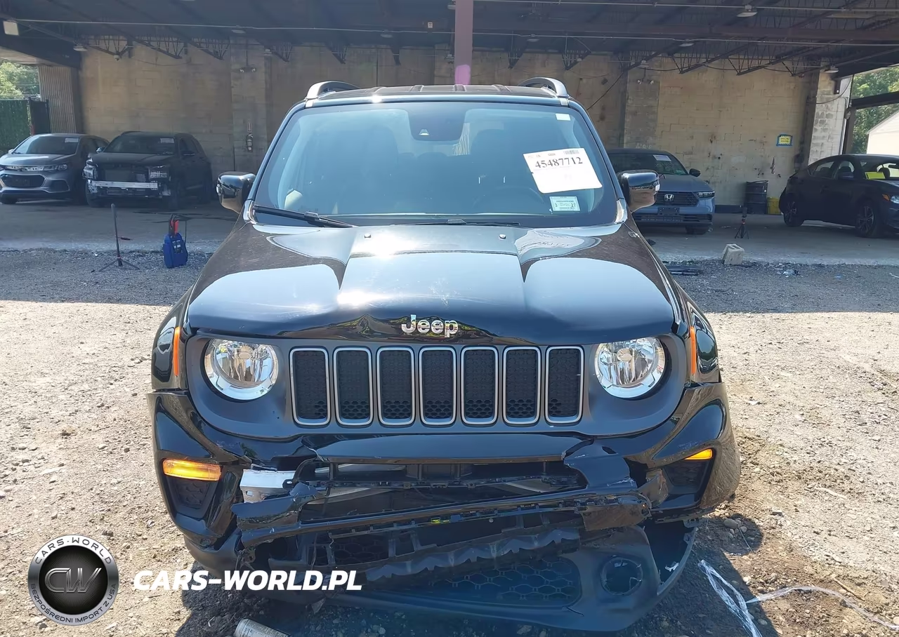 2023 Jeep Renegade Limited 4X4 VIN:ZACNJDD15PPP37130 - 12