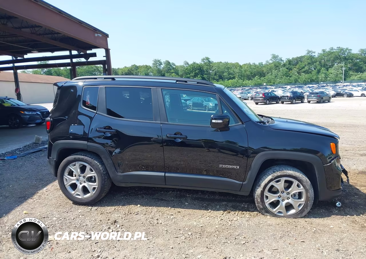 2023 Jeep Renegade Limited 4X4 VIN:ZACNJDD15PPP37130 - 13