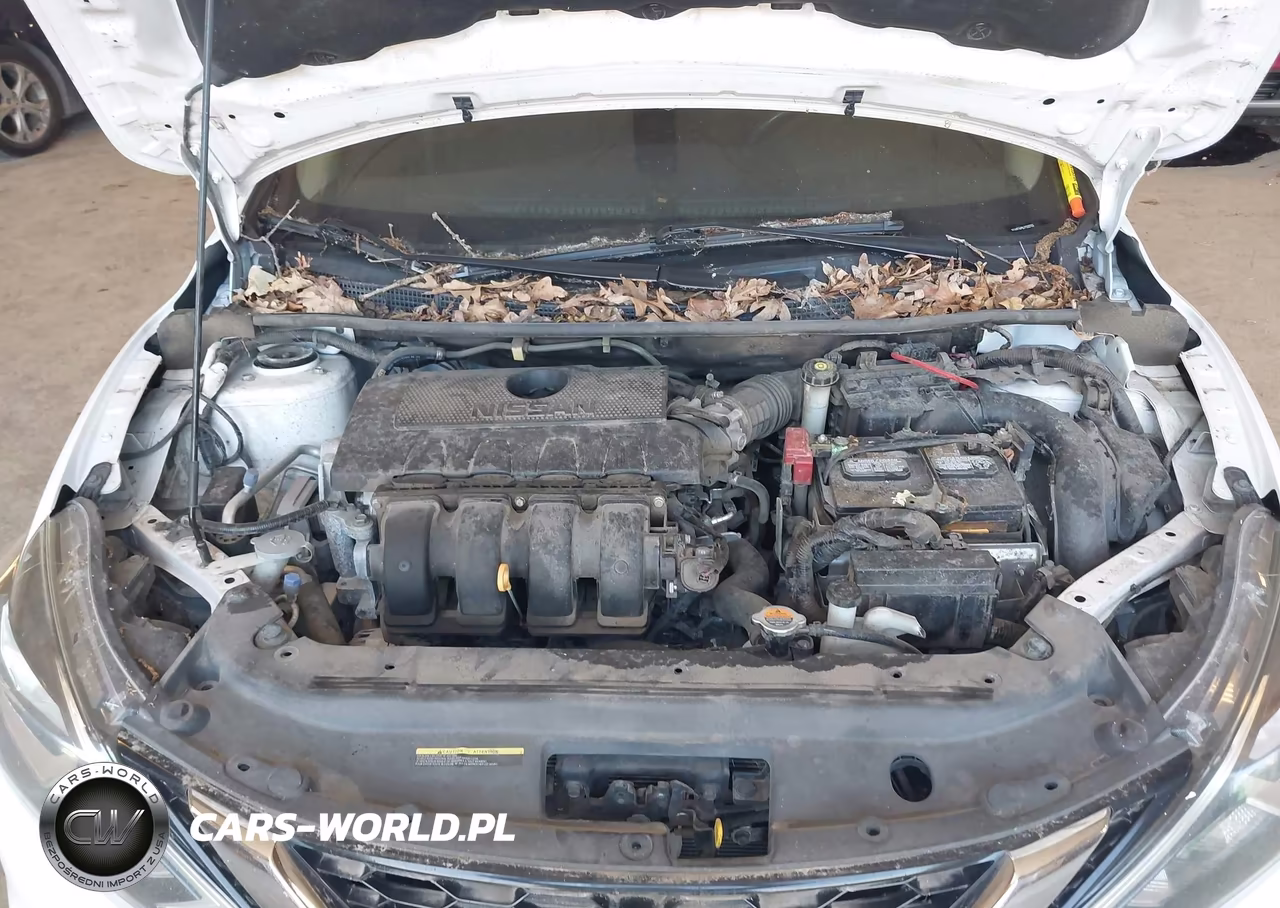 2018 Nissan Sentra S VIN:3N1AB7AP8JY333723 - 10