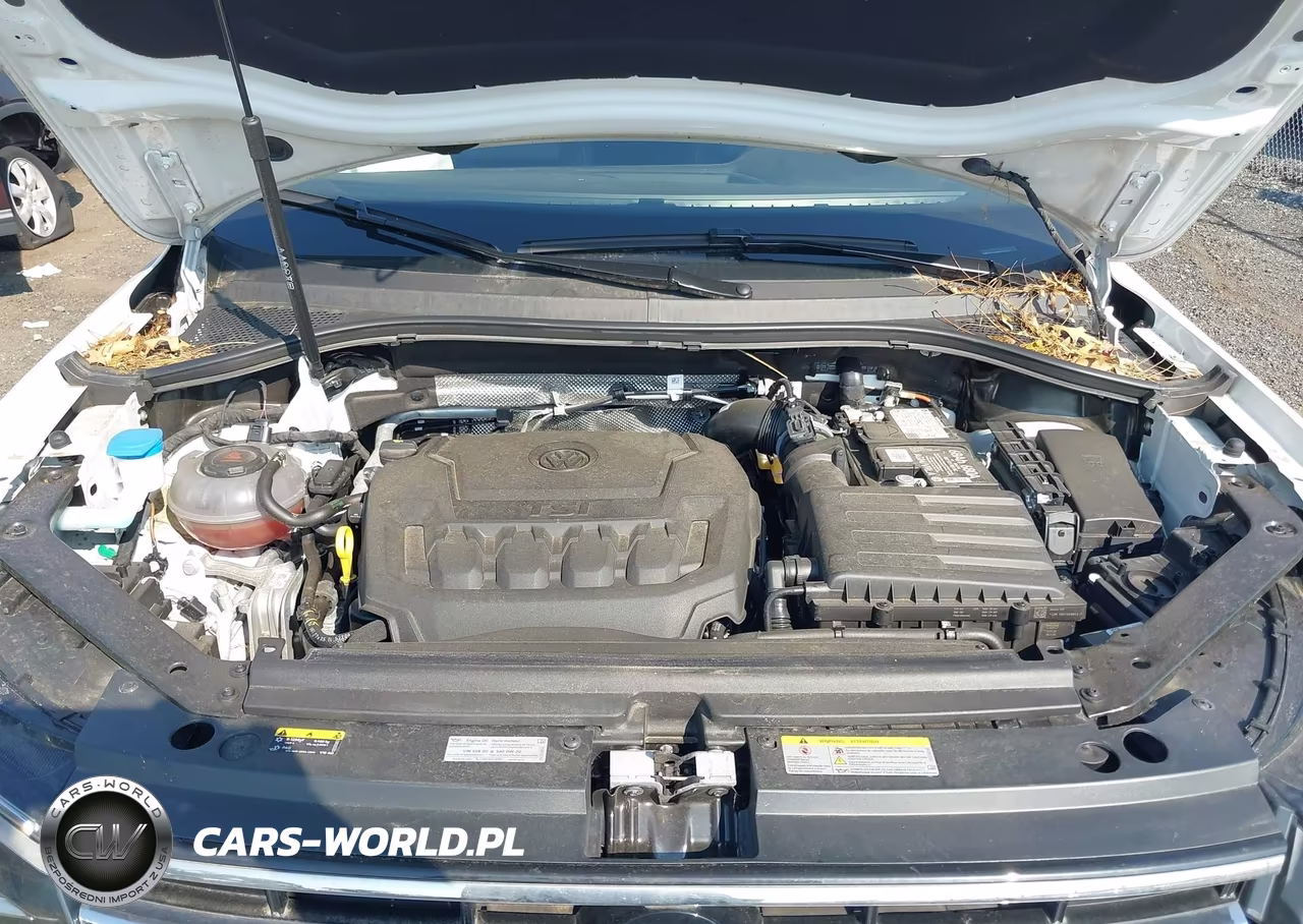 2024 Volkswagen Tiguan 2.0T Se-2.0T Wolfsburg Edition VIN:3VVMB7AX9RM174287 - 10