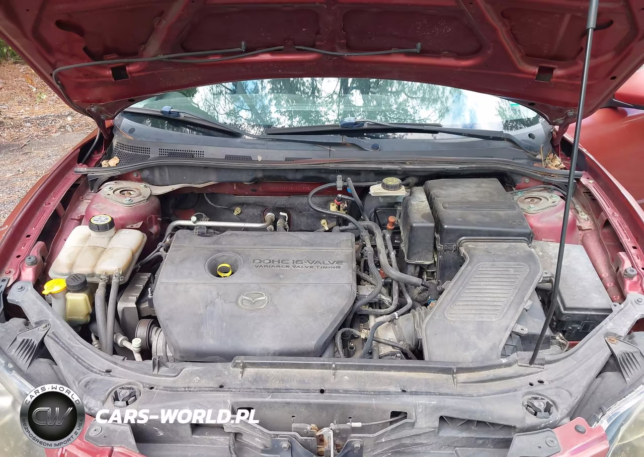 2009 Mazda Mazda3 I VIN:JM1BK32F191241739 - 10