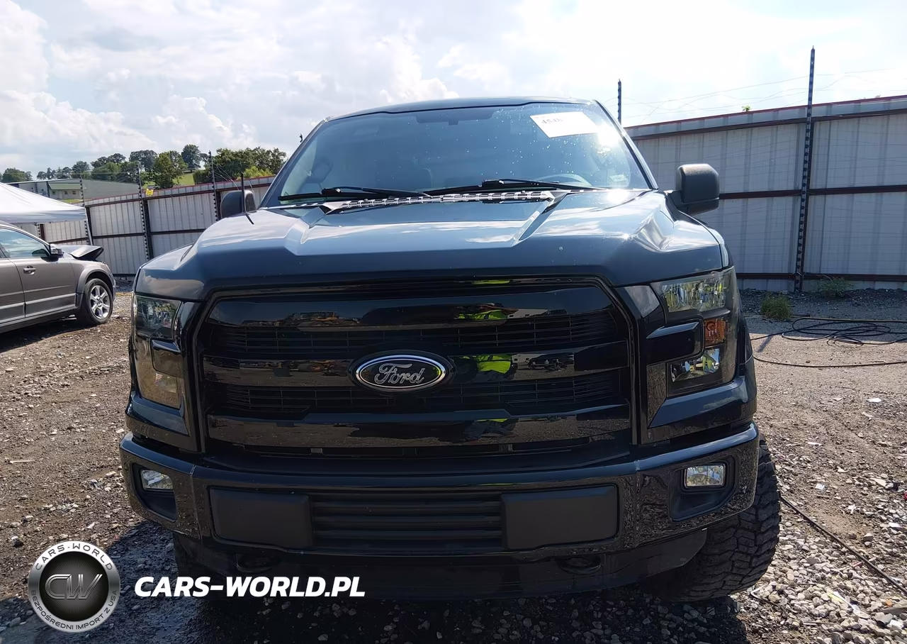 2016 Ford F-150 King Ranch-Lariat-Platinum-Xl-Xlt VIN:1FTEW1EF6GKF82336 - 12