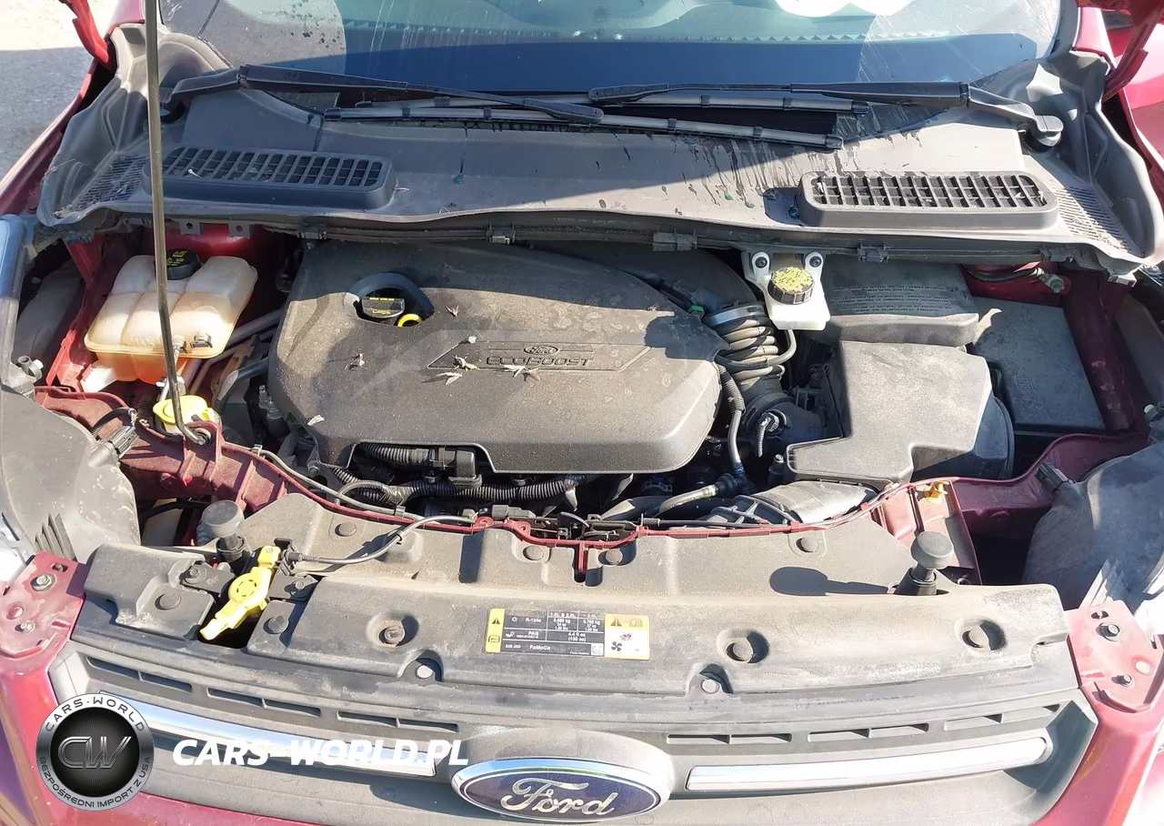2015 Ford Escape Se VIN:1FMCU0GX3FUA76507 - 10