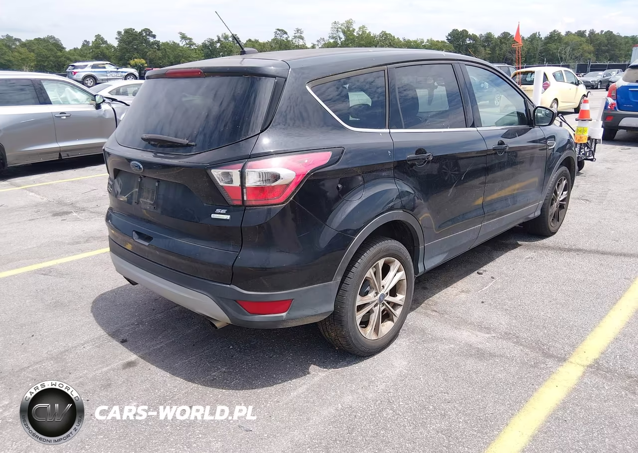 2017 Ford Escape Se VIN:1FMCU0G96HUC28803 - 4