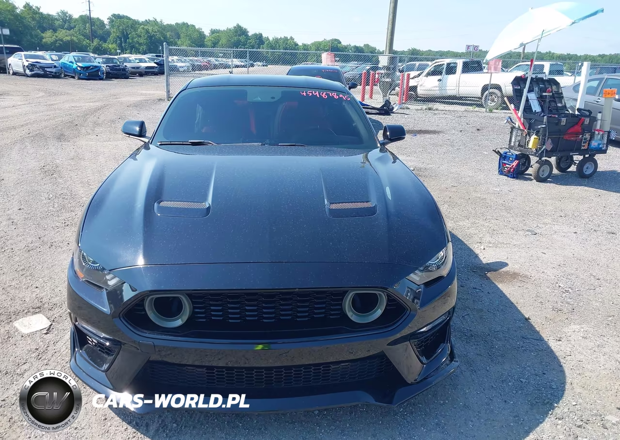 2019 Ford Mustang Gt Premium VIN:1FA6P8CF9K5184337 - 12