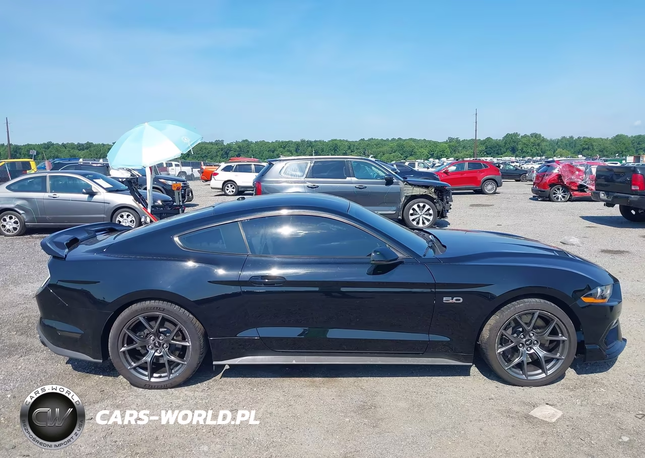2019 Ford Mustang Gt Premium VIN:1FA6P8CF9K5184337 - 13