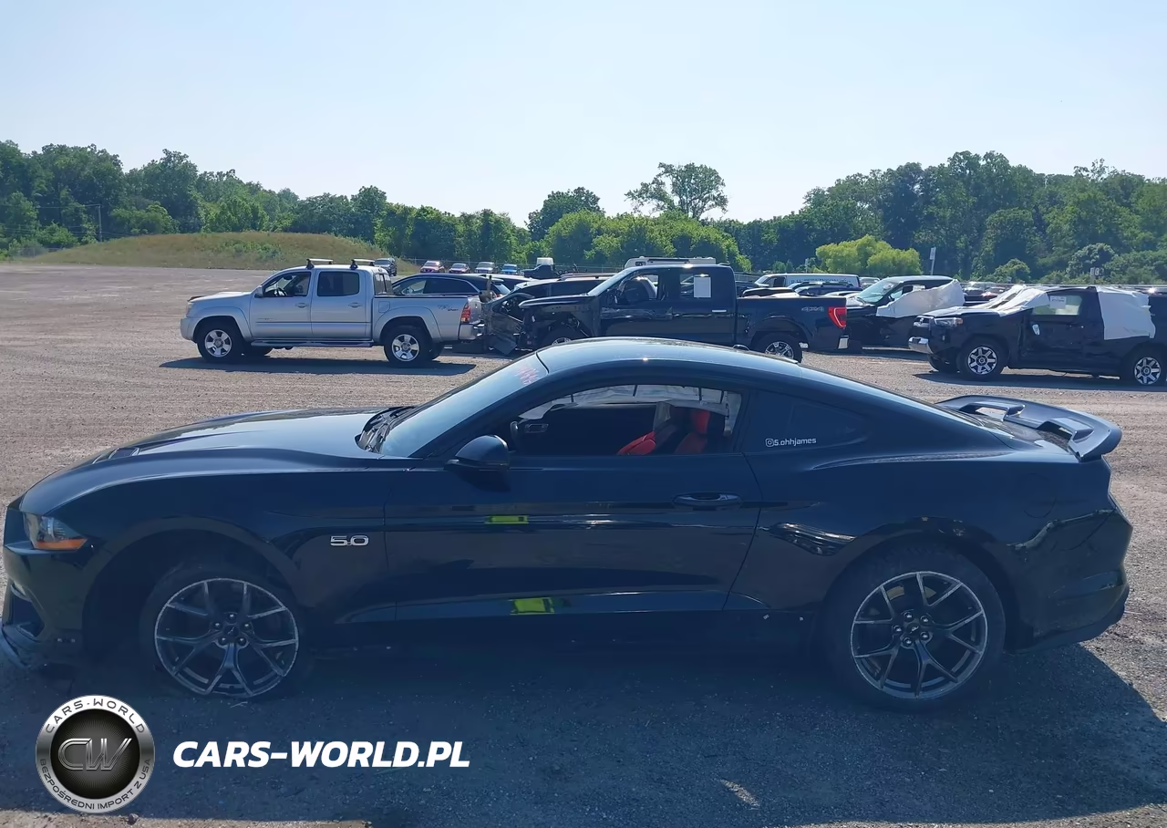 2019 Ford Mustang Gt Premium VIN:1FA6P8CF9K5184337 - 14