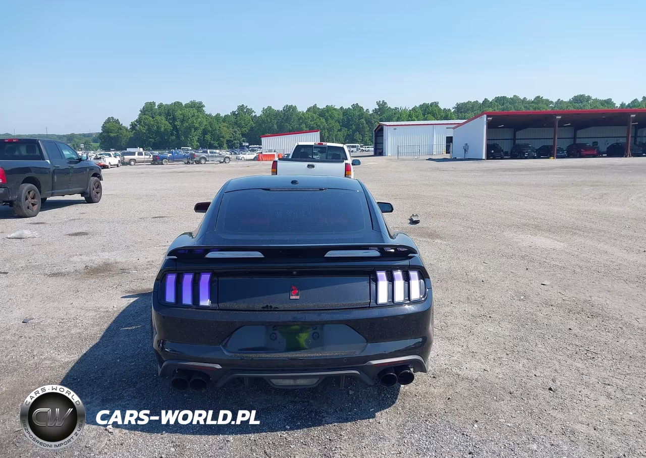 2019 Ford Mustang Gt Premium VIN:1FA6P8CF9K5184337 - 16