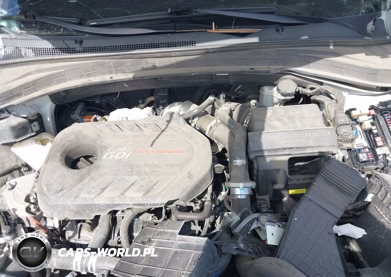 2019 Hyundai Santa Fe Limited 2.0T VIN:5NMS53AA8KH040249 - 10