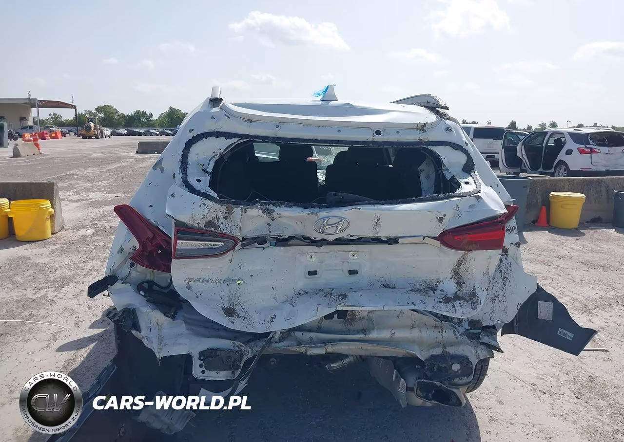 2019 Hyundai Santa Fe Limited 2.0T VIN:5NMS53AA8KH040249 - 6