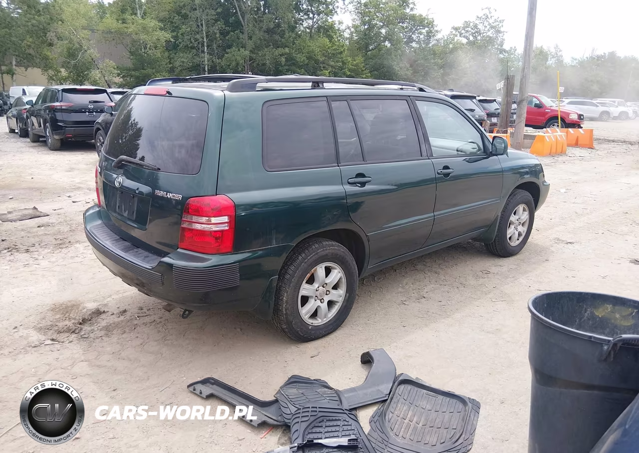 2002 Toyota Highlander VIN:JTEGD21A420045916 - 4