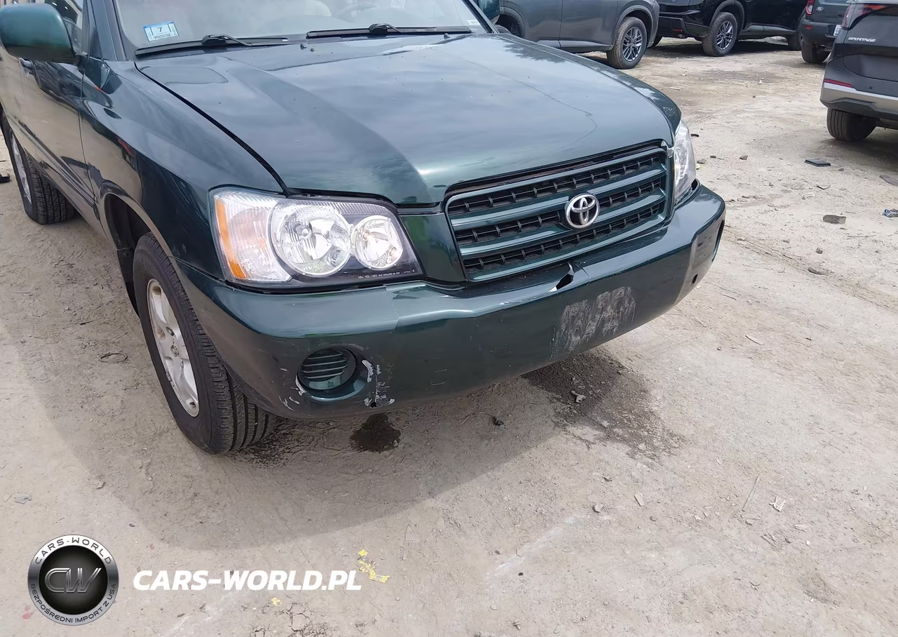 2002 Toyota Highlander VIN:JTEGD21A420045916 - 6