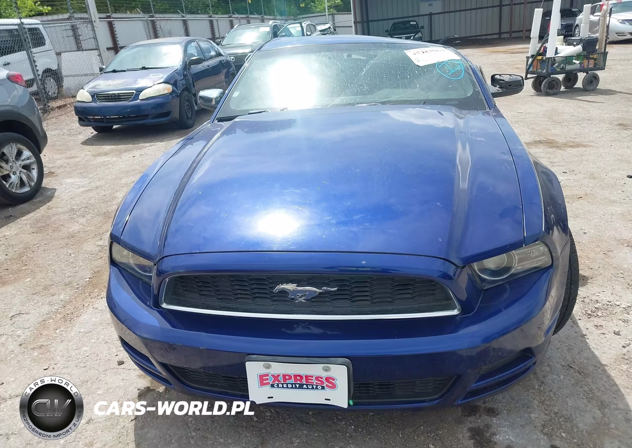 2014 Ford Mustang V6-V6 Premium VIN:1ZVBP8AMXE5313438 - 12